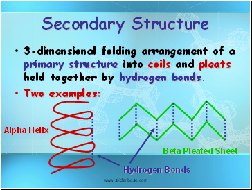 Secondary Structure