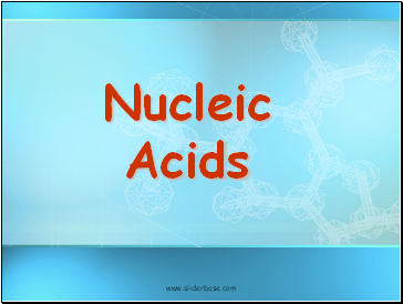 Nucleic Acids