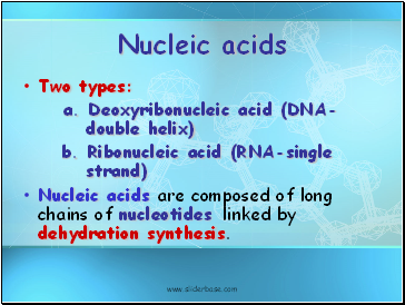 Nucleic acids