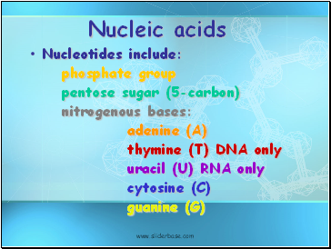 Nucleic acids