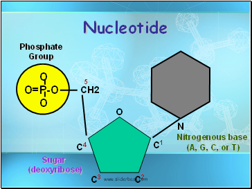 Nucleotide