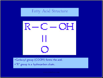 Fatty Acid Structure