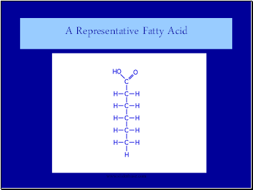 A Representative Fatty Acid