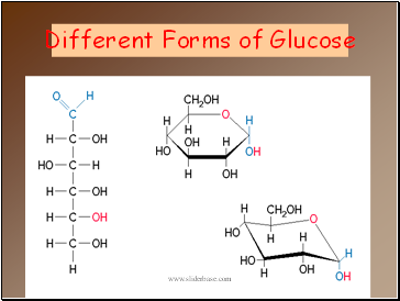 Different Forms of Glucose
