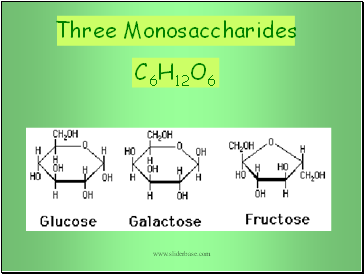Three Monosaccharides