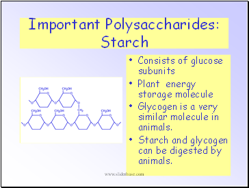 Important Polysaccharides: Starch