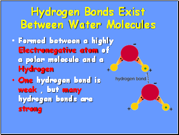 Hydrogen Bonds Exist Between Water Molecules