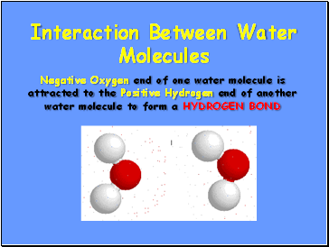 Interaction Between Water Molecules