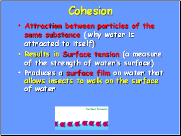 Cohesion