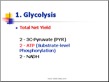 1. Glycolysis