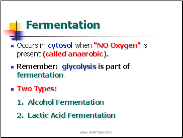 Fermentation