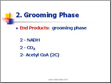 2. Grooming Phase