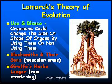 Lamarcks Theory of Evolution