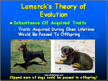 Lamarcks Theory of Evolution