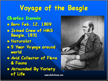 Voyage of the Beagle