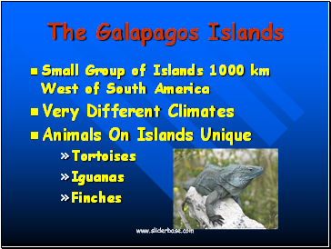 The Galapagos Islands