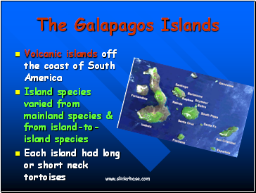 The Galapagos Islands