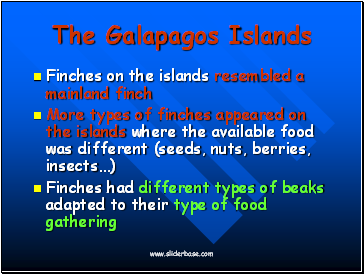 The Galapagos Islands