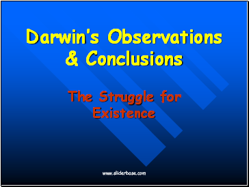 Darwins Observations & Conclusions