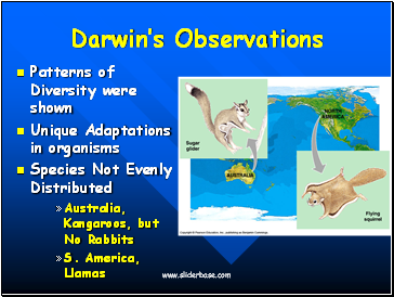 Darwins Observations