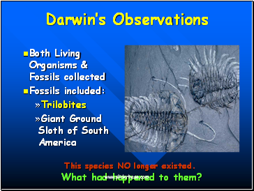 Darwins Observations