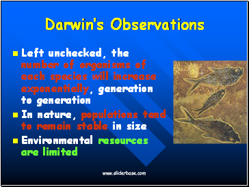 Darwins Observations