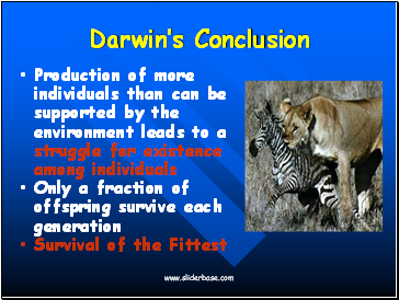 Darwins Conclusion