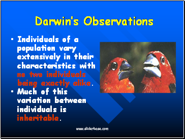 Darwins Observations