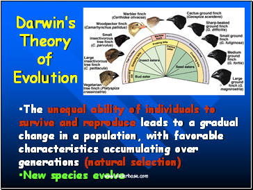 The unequal ability of individuals to survive and reproduce leads to a gradual change in a population, with favorable characteristics accumulating over generations (natural selection)