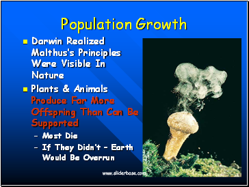 Population Growth