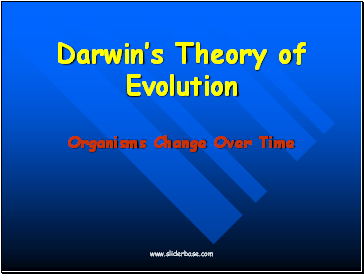 Darwins Theory of Evolution