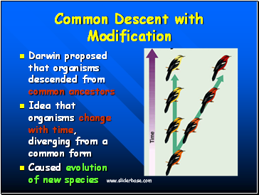 Common Descent with Modification