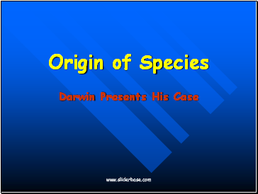 Origin of Species