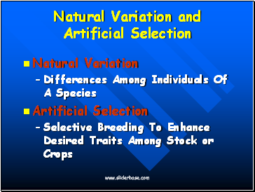 Natural Variation and Artificial Selection
