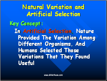 Natural Variation and Artificial Selection