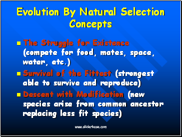 Evolution By Natural Selection Concepts