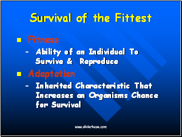 Survival of the Fittest