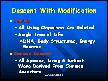 Descent With Modification