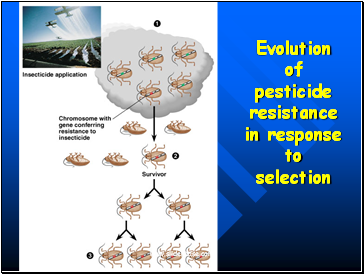 Evolution of pesticide resistance in response to selection