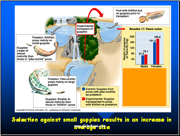 Evidence for Evolution  Evolution Observed