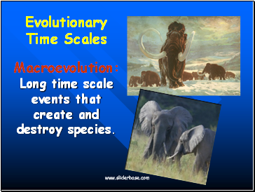 Evolutionary Time Scales