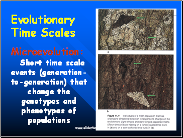 Microevolution: