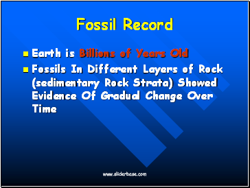 Fossil Record