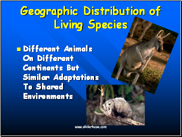 Geographic Distribution of Living Species