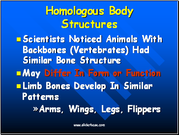 Homologous Body Structures