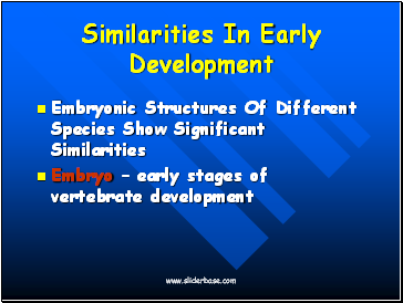 Similarities In Early Development