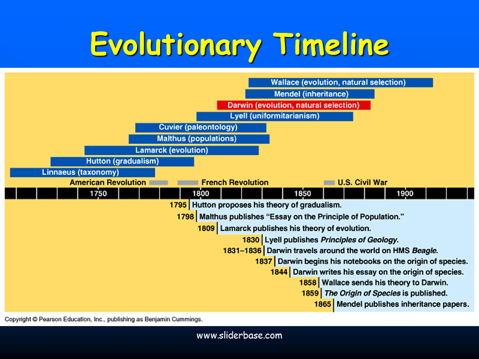 Theory Evolution Timeline Of Theory Evolution - Photos