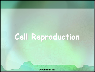 Cell Reproduction