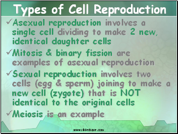 Types of Cell Reproduction
