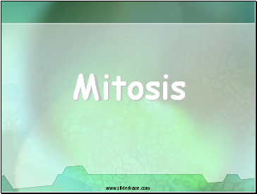 Mitosis